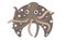 Brown octopus cute sea dweller