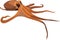 Brown octopus deep sea animal