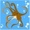 The brown octopus swims underwater. Sea creature