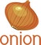 Brown onion bulb with title on white background