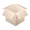 Brown Open Box Icon, Template