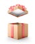 Brown open gift box with red bow isolated
