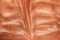 Brown orange pearl paint cosmetics texture background