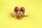 Brown organic chicken eggs in straw shoes with a flower on a yellow background, Easter holidays
