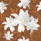 Brown ornamental background with white flowers
