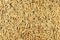 Brown paddy seed rice background