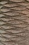 Brown Palm tree bark ideal for vertical textured background