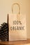 Brown paper bag with `100% Organic` message in front of a beige background with pine cone props