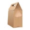 Brown paper bag for food packing with handles