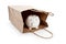 Brown paper shopping bag and Piggy Bank