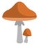 Brown parasol mushrooms, icon icon