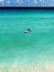 A brown pelican on the beach in Cancun, a Mexican city on the Yu