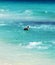 A brown pelican on the beach in Cancun, a Mexican city on the Yucatan peninsula