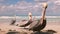 Brown pelican family on the beach, ocean waves and clouds in background