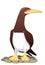 brown pelican fish eater bird vector illustration transparent background