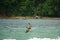 Brown Pelican flying in the Bloody Bay on the Caribean Island of Tobago