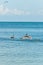 Brown pelican lifting off water