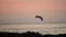 Brown Pelican (pelecanus occidentalis) In Flight in Sky Over Pacific Ocean Coast and Sea at Orange S