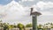 Brown Pelican roosting on top of a wooden dock pile against cloudy sky