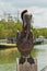 Brown pelican standing on marine dock support