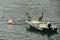 Brown Pelicans on a boat