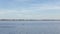 Brown Pelicans fishing in Florida lake