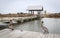 Brown Pelicans at Grand Isle State Park