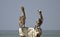 Brown pelicans perched on a stone post