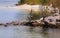 Brown pelicans on a rock jetty