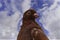 Brown pigeon against blue sky and clouds. Portrait. Looks to side