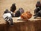 Brown pigeon sitting among black and gray pigeons on brown pavement