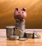 Brown piggy bank and coins.