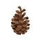 Brown pine cone. Woody fruit of conifer tree. Nature and botany theme. Flat vector element for Christmas postcard