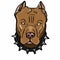 Brown pitbull dog illustration drawing illustration drawing and drawing illustration white background