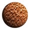 Brown planet isolated and add clipping path