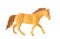 Brown plastic Horse toy isolate white background