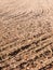 Brown ploughed dry autumn farm field space tracks empty space ag