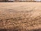 Brown ploughed dry autumn farm field space tracks empty space ag