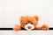 Brown plush toy Teddy bear crawling out of chest of white drawers