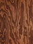 Brown plywood abstract wood texture