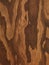 Brown plywood wooden texture