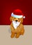 Brown poodle santa