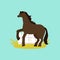 Brown prancing pony standing on grass - little cartoon horse