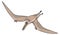 brown pteranodon dinosaur ancient vector illustration transparent background