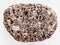 brown pumice stone on white marble background