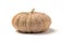 Brown pumpkin on white background, original natural from Thailand.