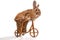 Brown rabbit riding bike