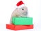 Brown rabbit in santa hat and christmas boxes, iso