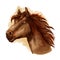 Brown racehorse for horse racing design