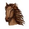 Brown racehorse sketch for horse racing design